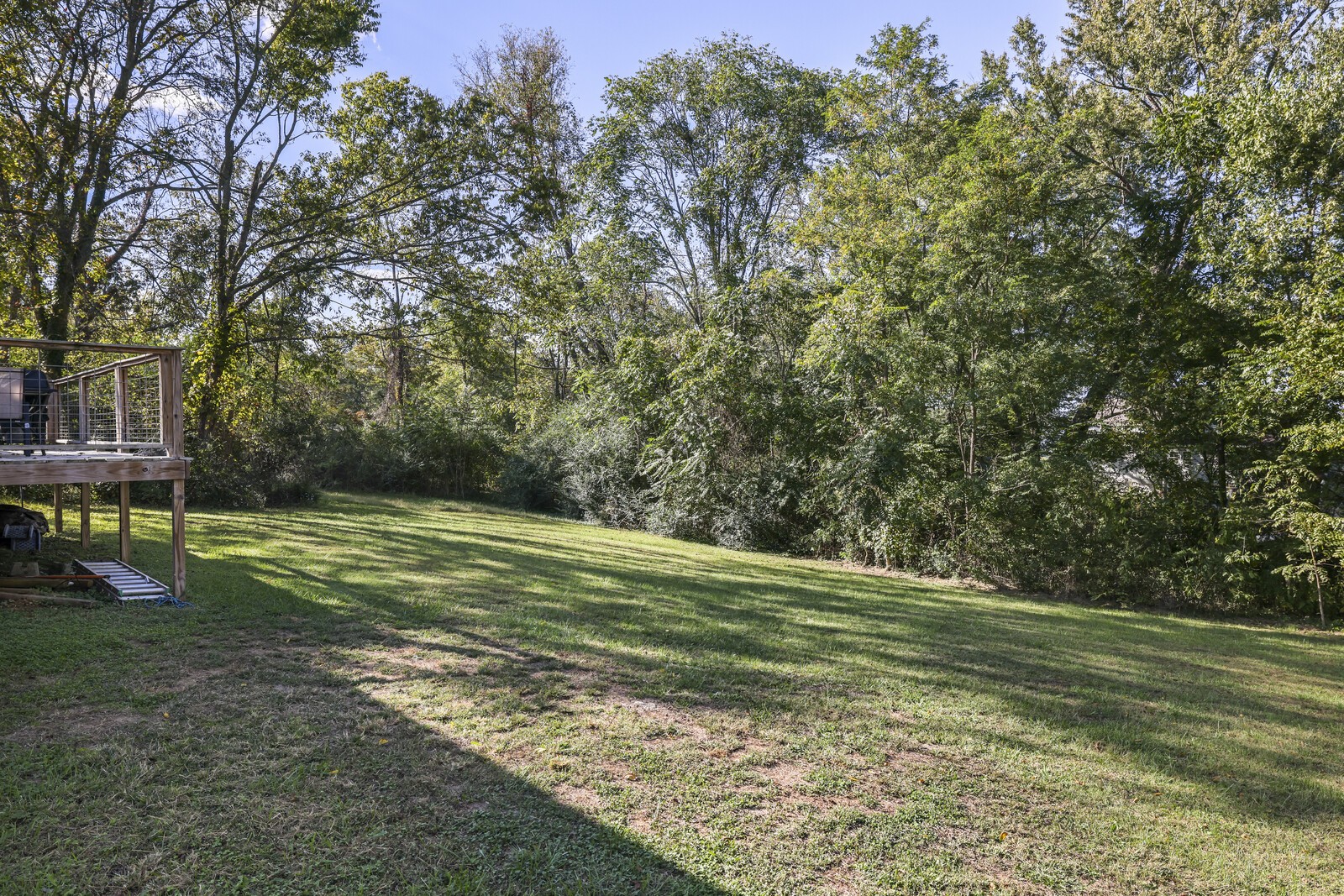 408 Magnolia Street Baxter, TN 38544 - Photo 35 of 44 a view of a field with trees
