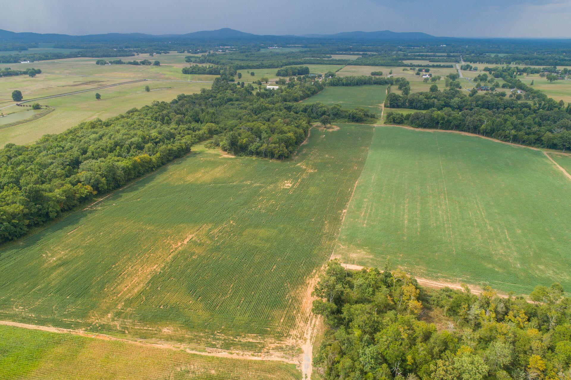 159 County Line Road Bell Buckle, TN 37020 - Photo 18 of 28 a view of a lake from a yard