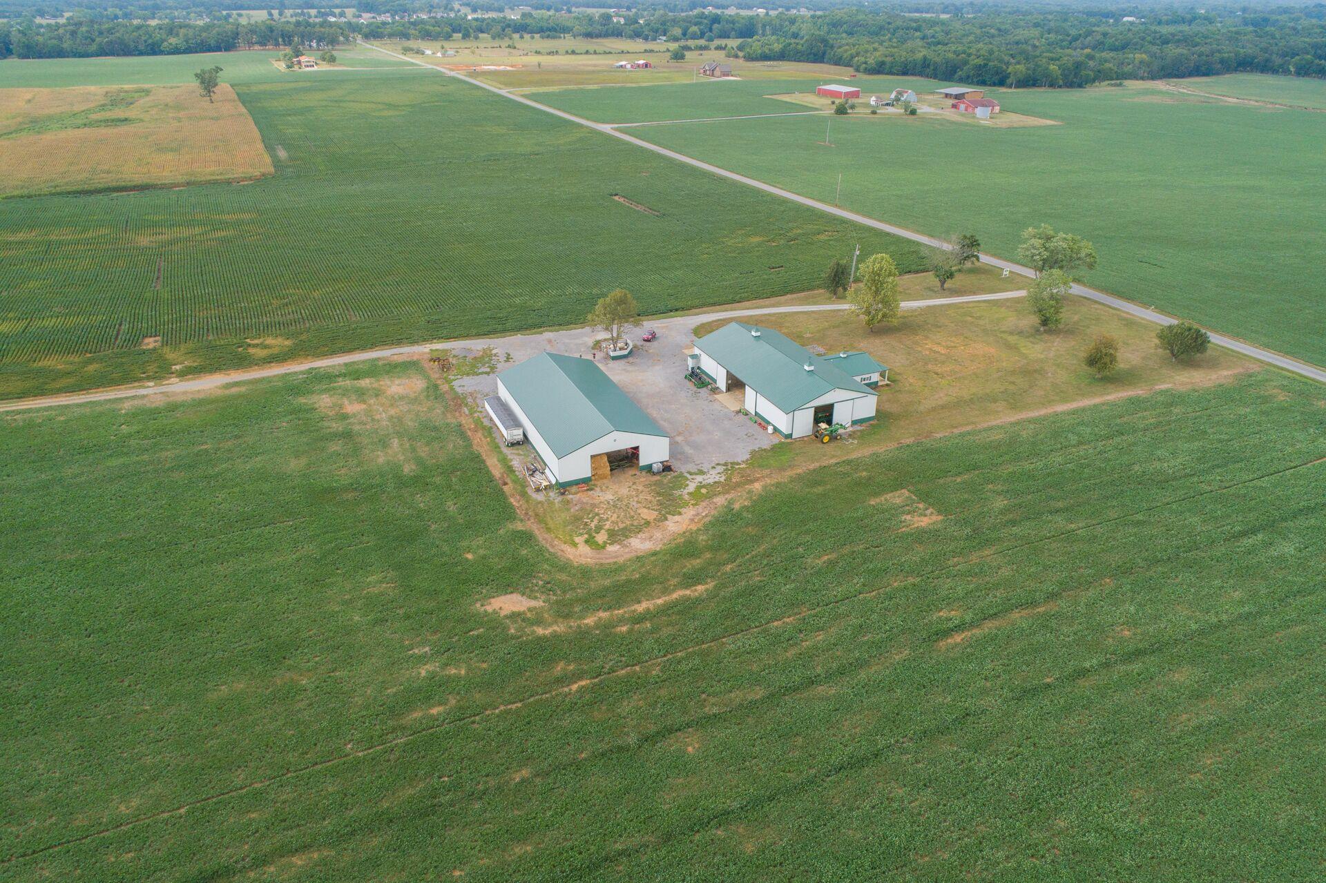159 County Line Road Bell Buckle, TN 37020 - Photo 19 of 28