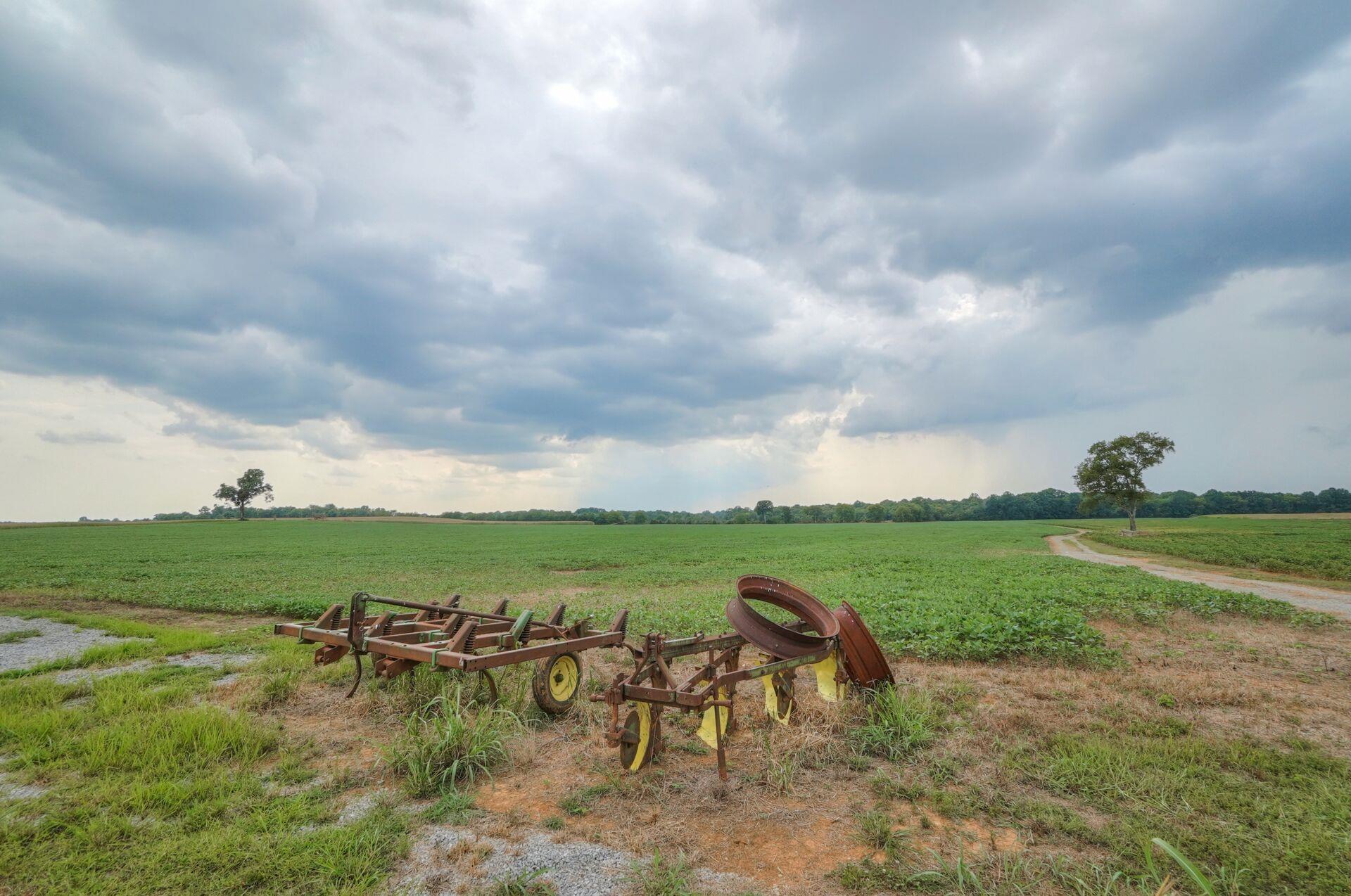 159 County Line Road Bell Buckle, TN 37020 - Photo 22 of 28 a view of a golf course with a garden