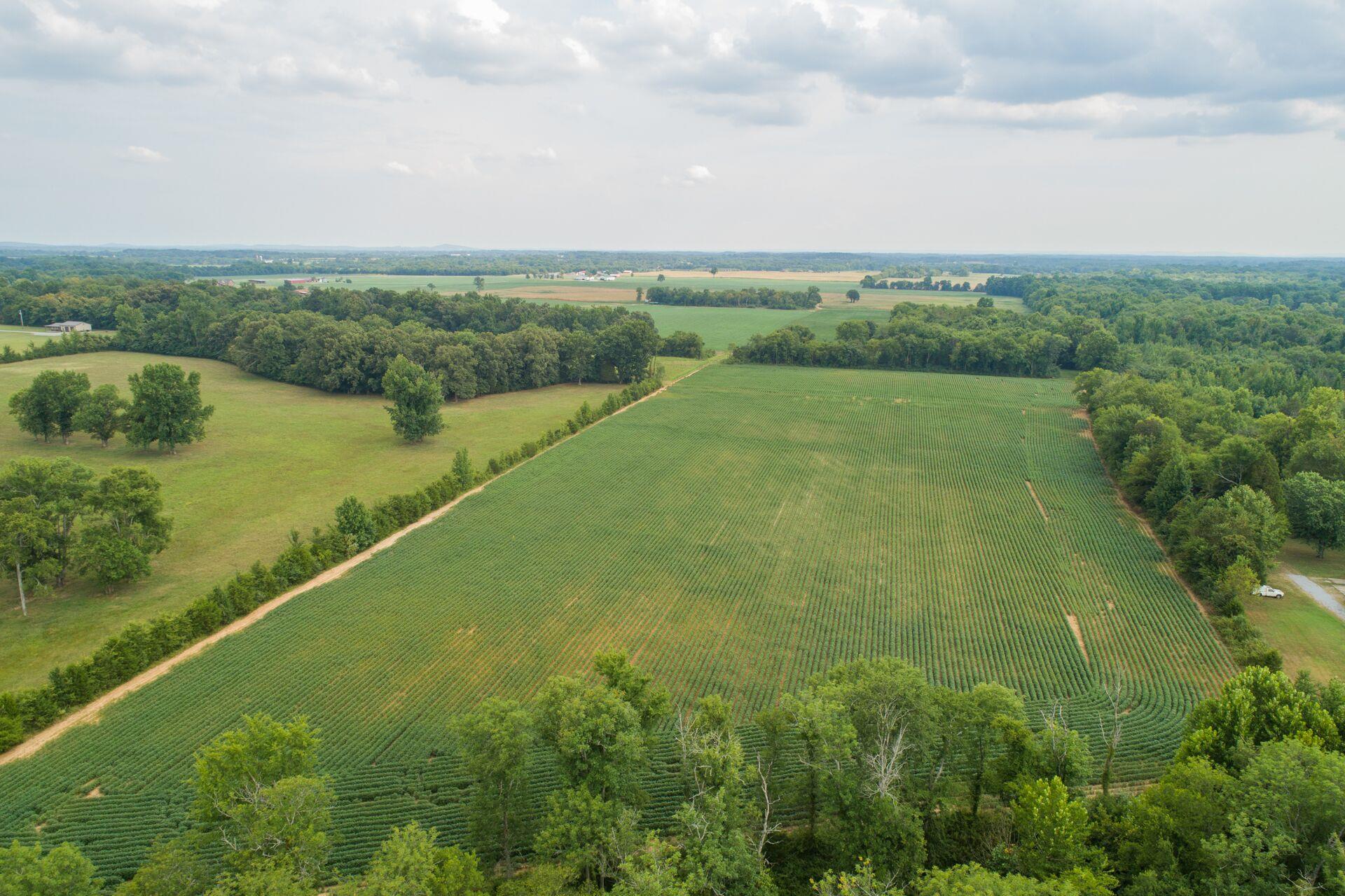 159 County Line Road Bell Buckle, TN 37020 - Photo 25 of 28 an aerial view of a houses with outdoor space and trees all around