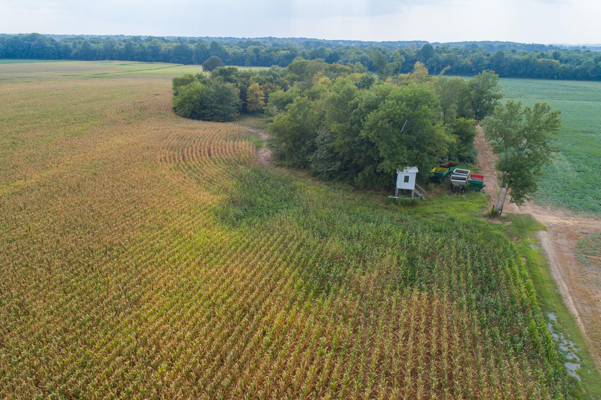159 County Line Road Bell Buckle, TN 37020 - Photo 26 of 28 a view of a lake with a yard and large trees
