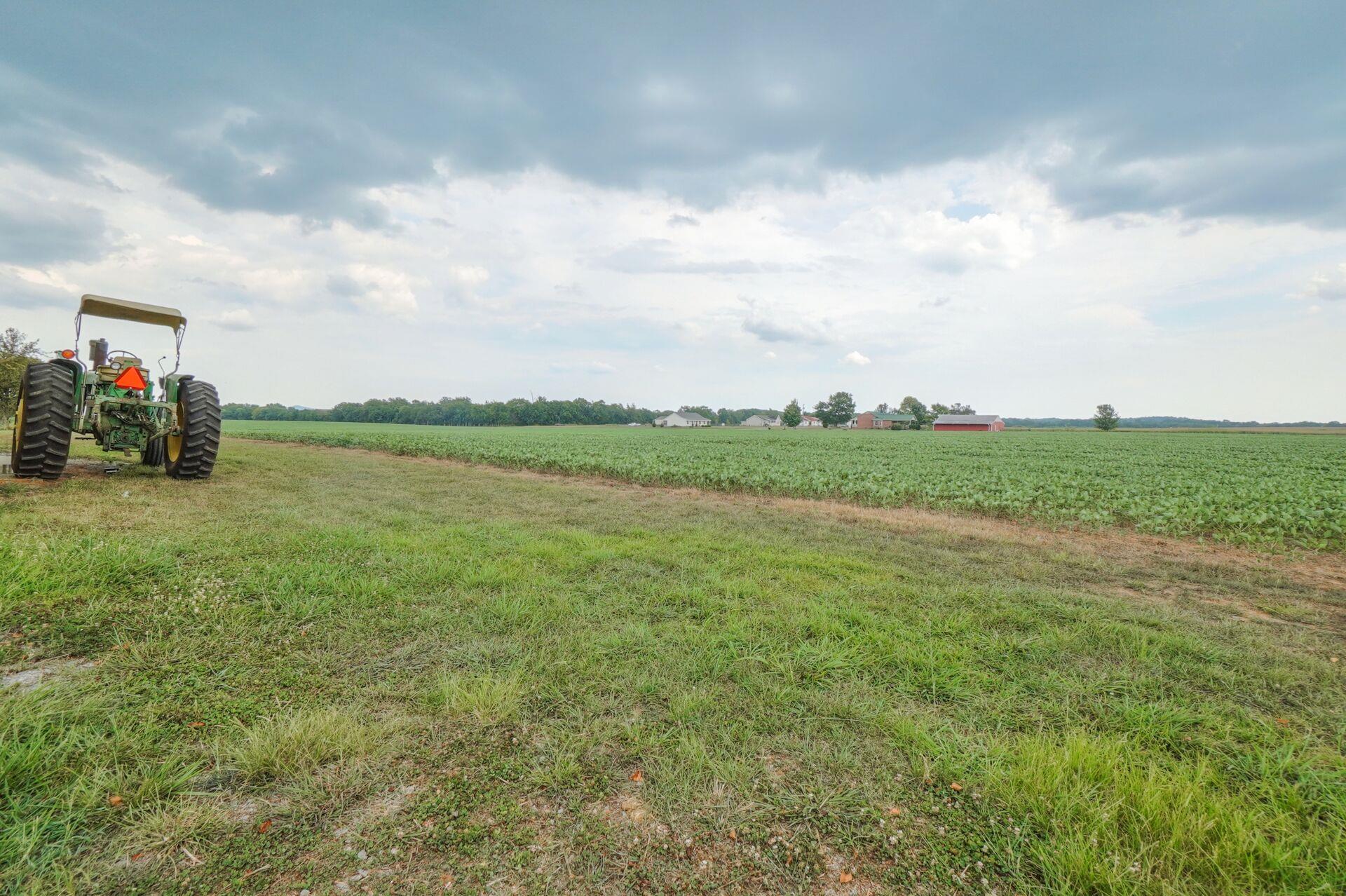 159 County Line Road Bell Buckle, TN 37020 - Photo 27 of 28 a view of a big yard with plants and a large tree