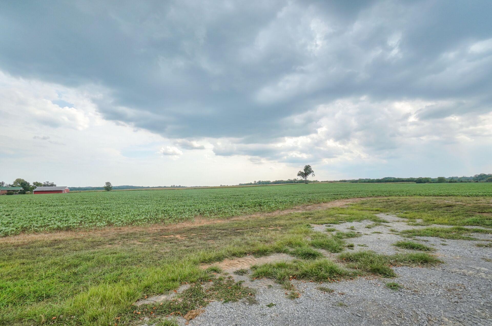 159 County Line Road Bell Buckle, TN 37020 - Photo 28 of 28 a view of a field with an ocean