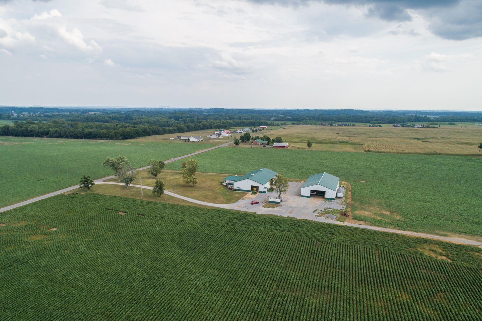 159 County Line Road Bell Buckle, TN 37020 - Photo 4 of 28 a view of a lake with lawn chairs