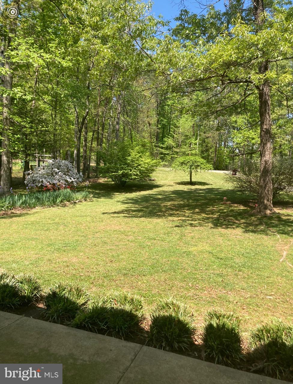 804 Buggy Lane Rochelle, VA 22738 - Photo 45 of 50 a view of a ocean view
