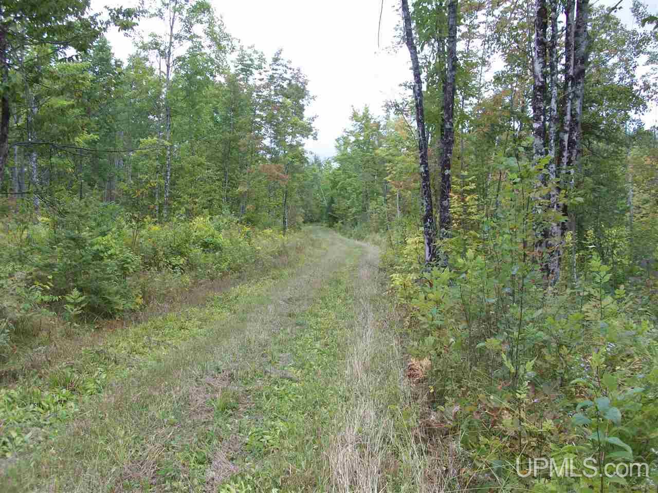 Tbd Fordville Road Foster City, MI 49807 - Photo 15 of 18