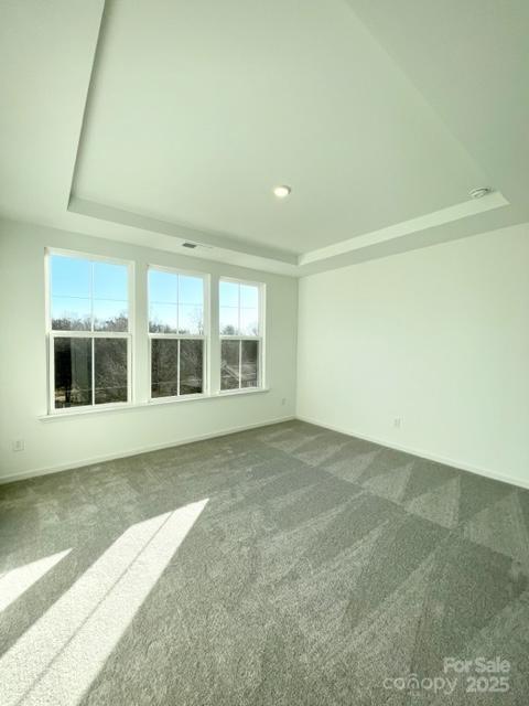 412 Catawba Avenue Davidson, NC 28036 - Photo 19 of 30