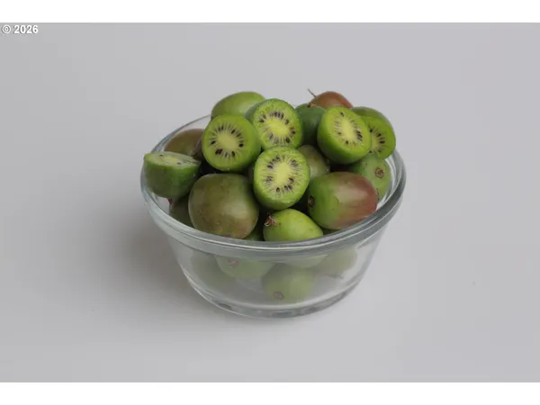 $2,250,000 | 23220 McKibben Road, Sheridan, OR 97378