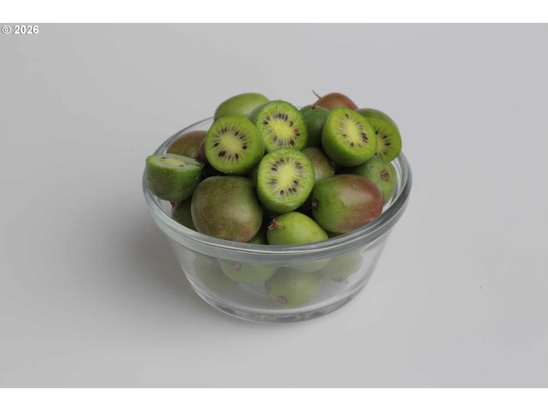 23220 McKibben Road Sheridan, OR 97378 - Photo 27 of 48 a view of a fruit basket