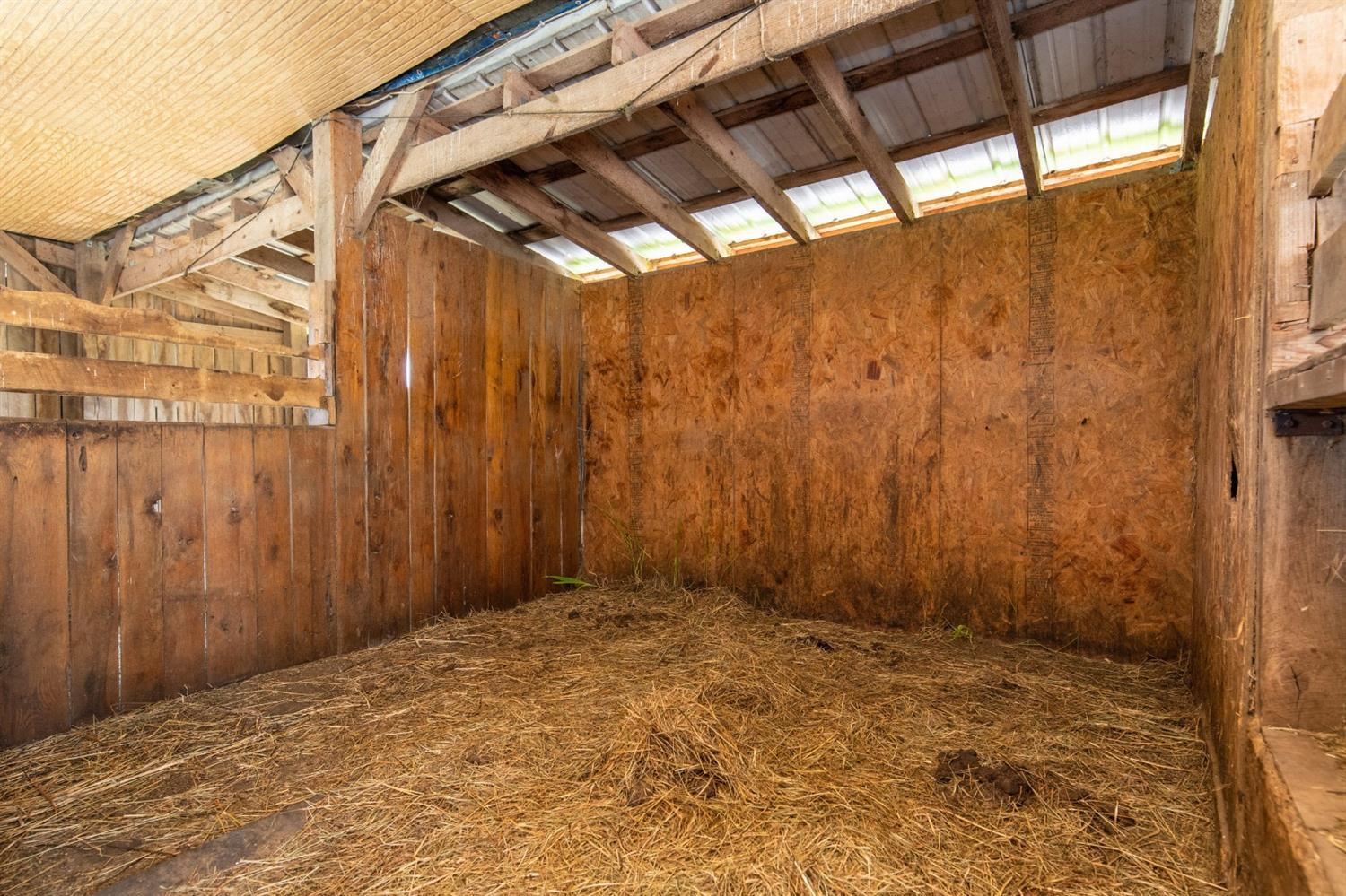 3330 Houston Antioch Road Paris, KY 40361 - Photo 37 of 51 Photo 45