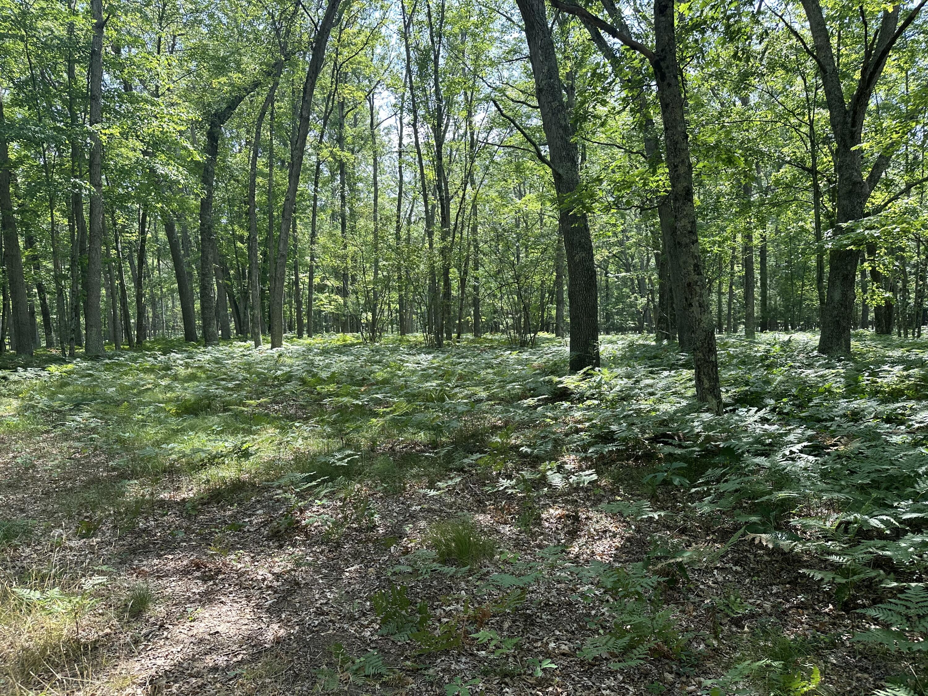 2643 South Ward Lake Rd. Branch, MI 49402 - Photo 45 of 49 IMG_2426