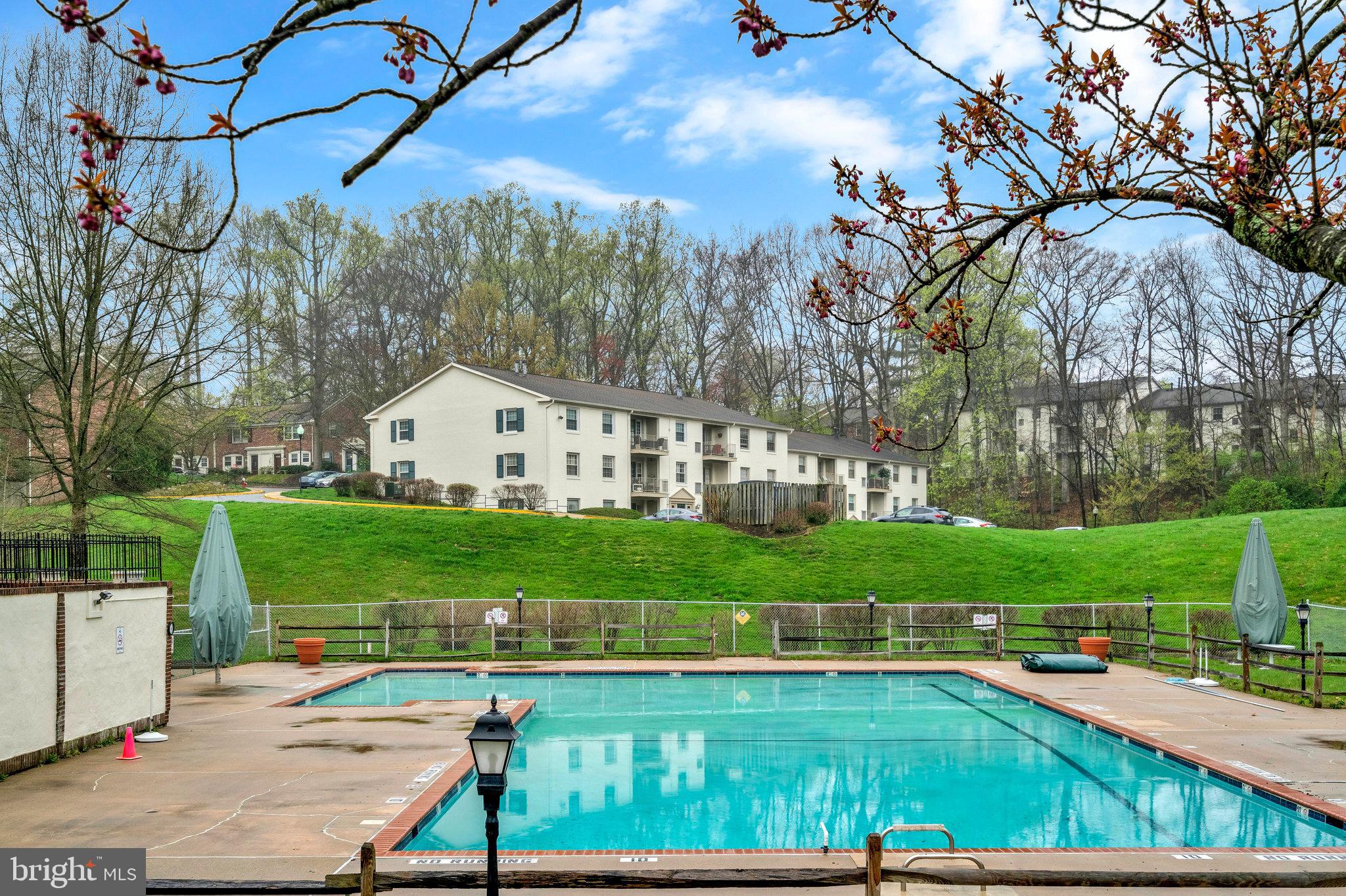 8202 Tory Road, Unit 135 Springfield, VA 22152 - Photo 53 of 63