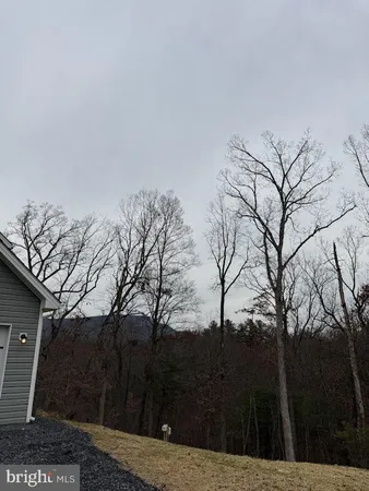 a backyard of a house with large trees