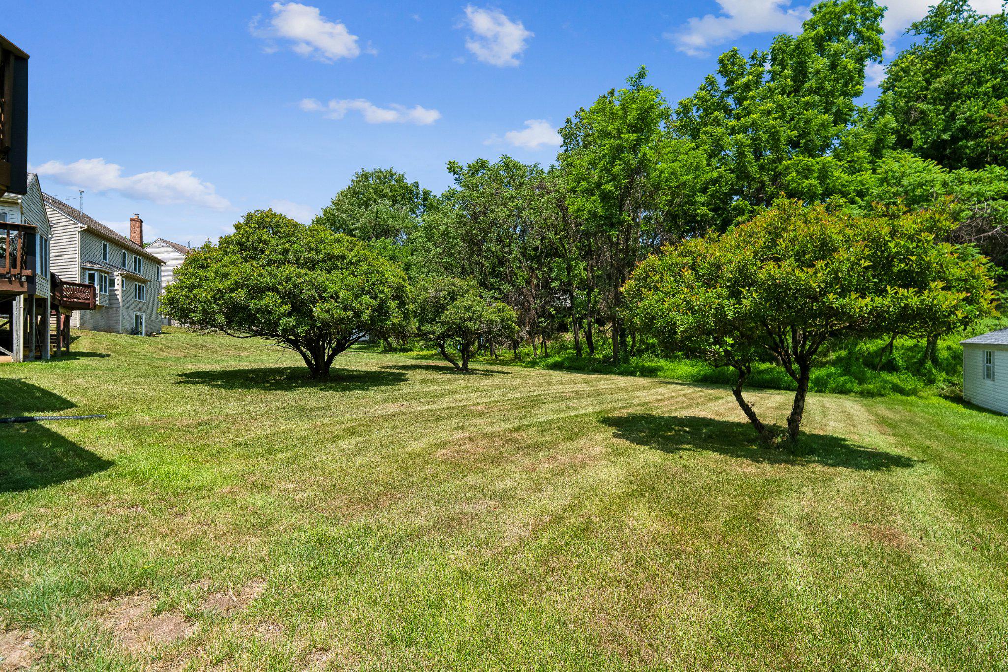 9505 Bald Hill Road Mitchellville, MD 20721 - Photo 6 of 39 Expansive yard with vibrant trees.