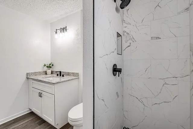 a bathroom with a granite countertop sink a toilet and shower