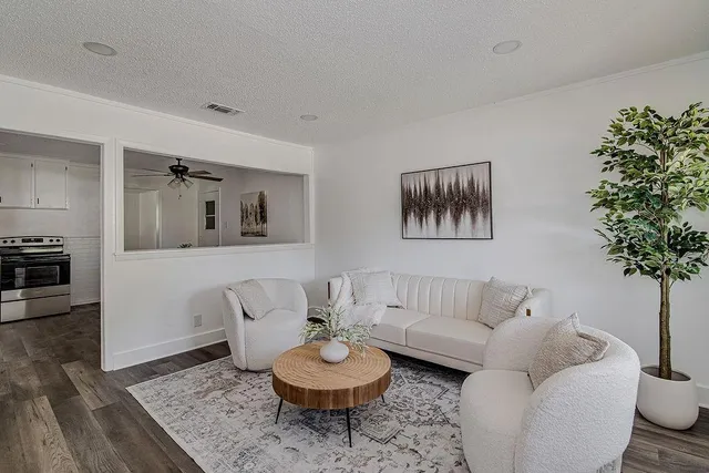 a living room with furniture and a potted plant