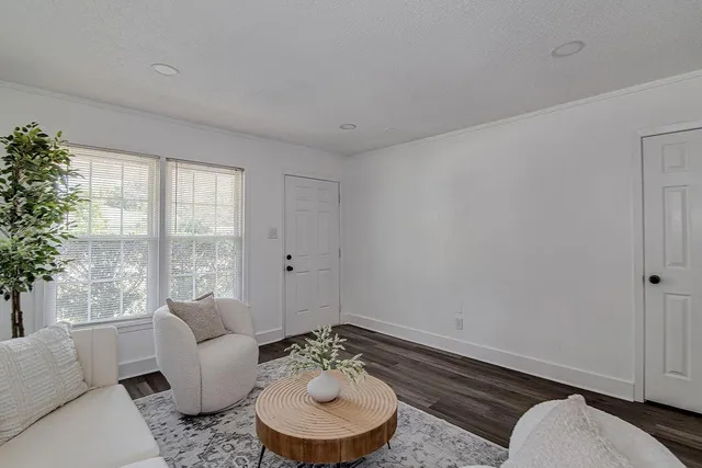 a living room with furniture and a potted plant