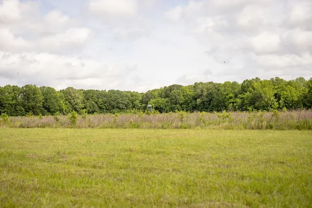 $1,592,500 | 1017 Insemore Place, Hermanville, MS 39086