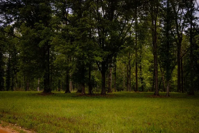 $1,592,500 | 1017 Insemore Place, Hermanville, MS 39086