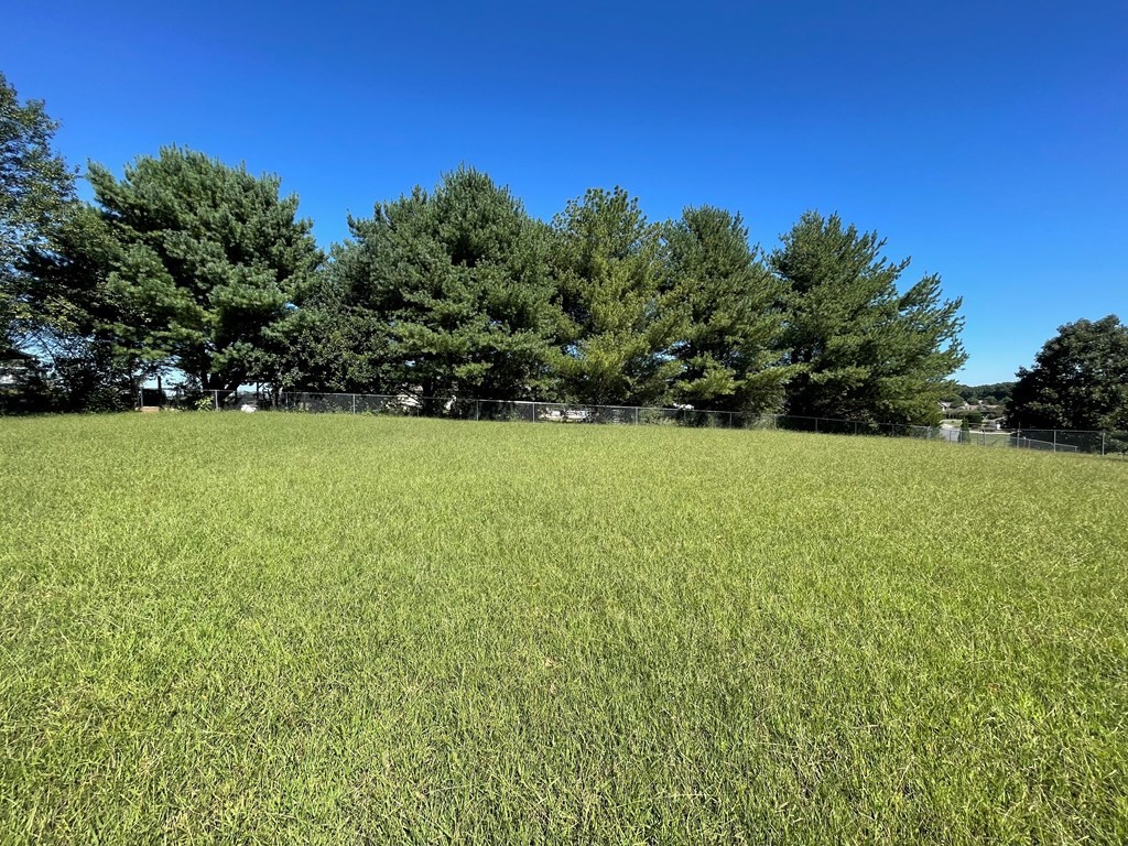 0 Sweetsprings Road Madisonville, TN 37354 - Photo 5 of 18 Gallery Image 5