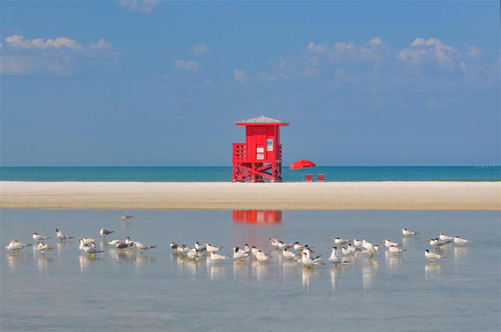 6157 Midnight Pass Road, Unit B12 Sarasota, FL 34242 - Photo 68 of 75