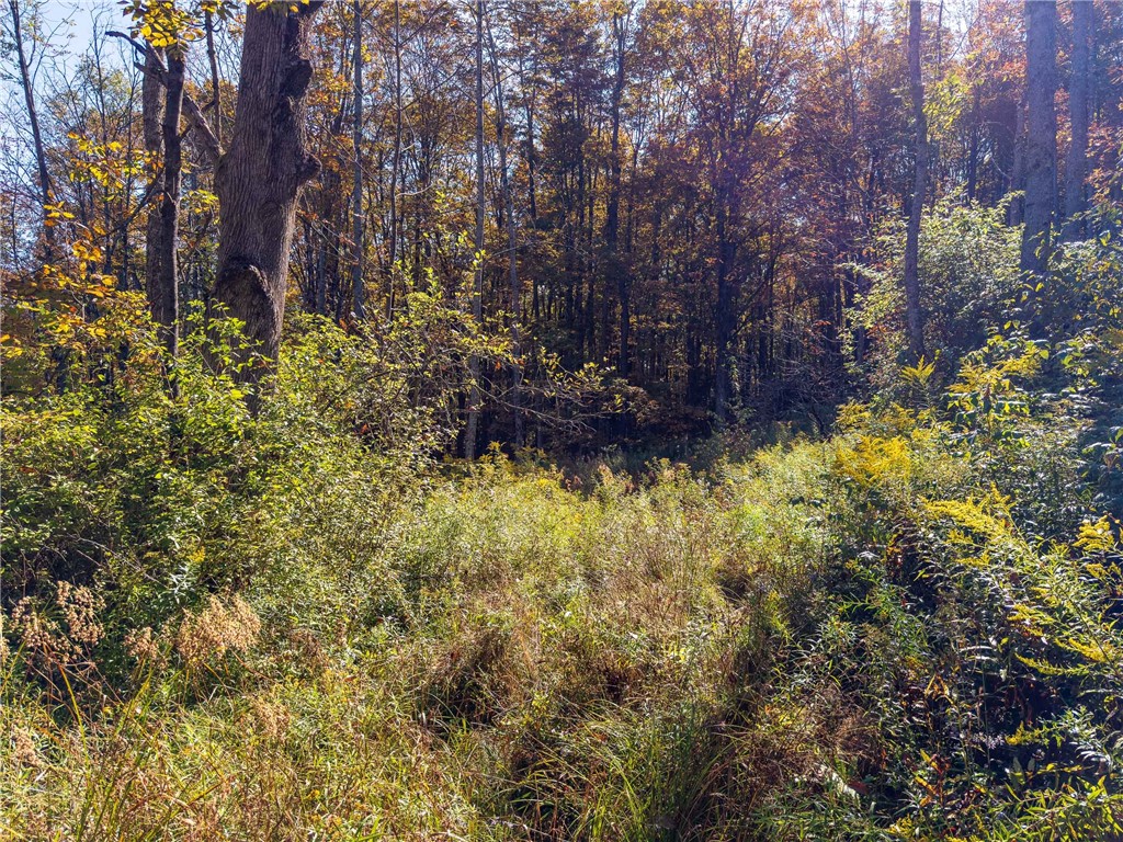 Reservoir Hill Road Norwich, NY 13815 - Photo 39 of 50