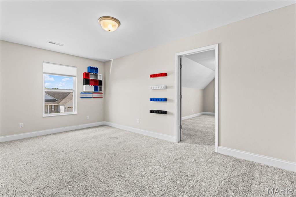 1434 Montauk Road Troy, IL 62294 - Photo 49 of 82 Gallery Image 49