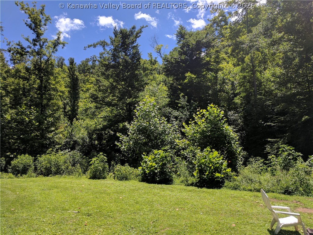 4448 Jerrys Run Road Apple Grove, WV 25502 - Photo 4 of 20 Gallery Image 4