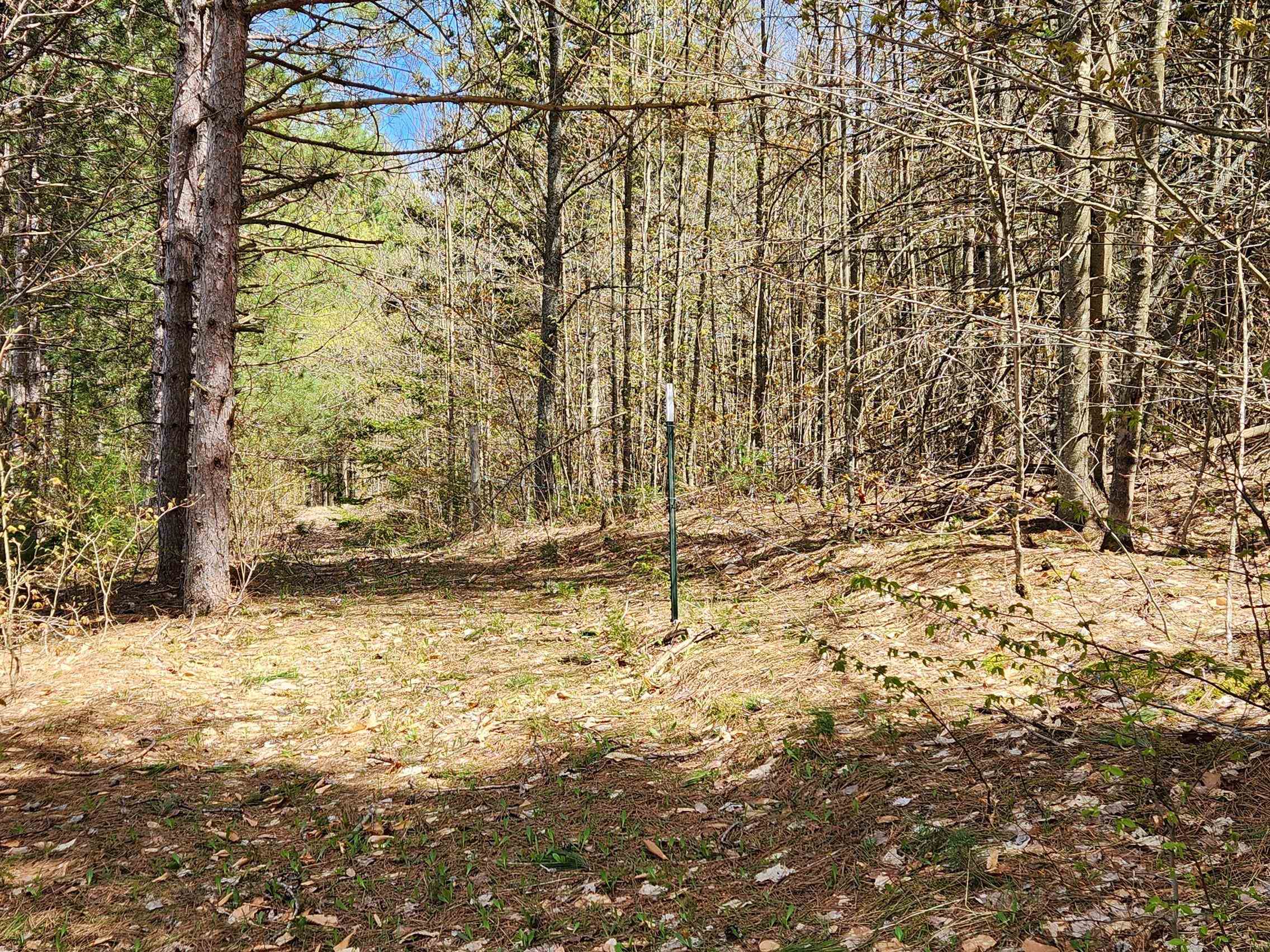 7777 Henschell Road Southwest South Boardman, MI 49680 - Photo 11 of 31