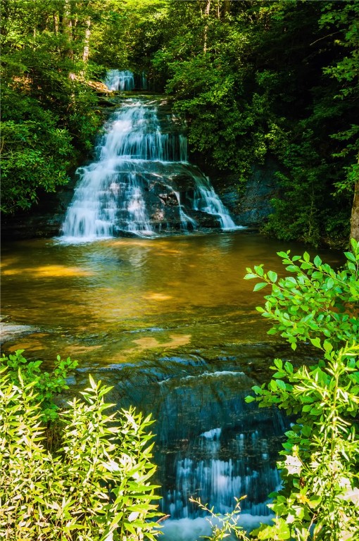 101 Lakeview Drive Seneca, SC 29672 - Photo 42 of 42 Areas Hikes & Waterfalls