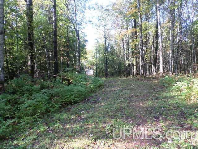 7333 West Harding Road Bessemer, MI 49911 - Photo 3 of 25 Gallery Image 3