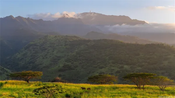 a view of a mountain