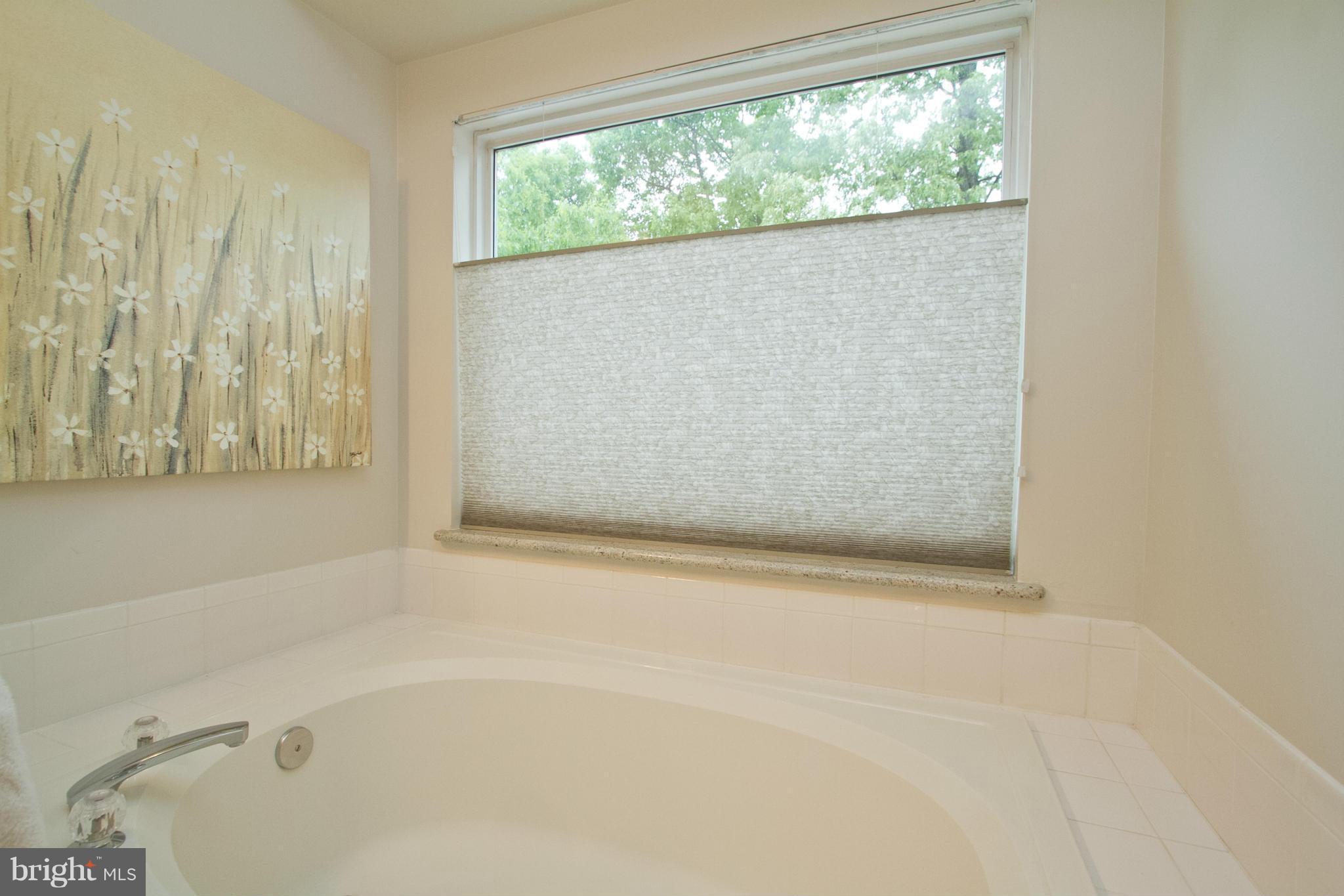 1700 Random Stone Court Reston, VA 20190 - Photo 15 of 30 Bath (Master)