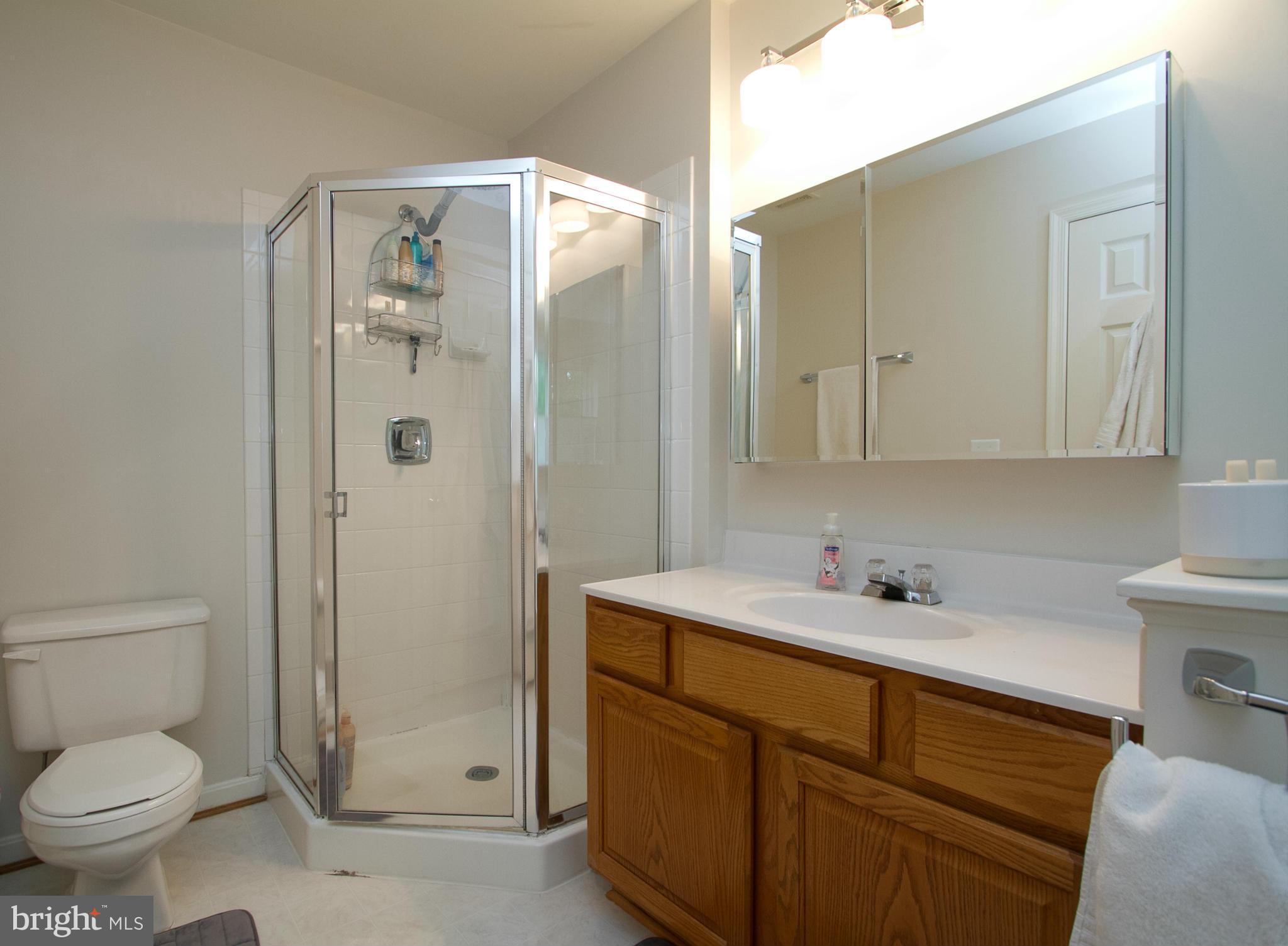 1700 Random Stone Court Reston, VA 20190 - Photo 16 of 30 Bath (Master)