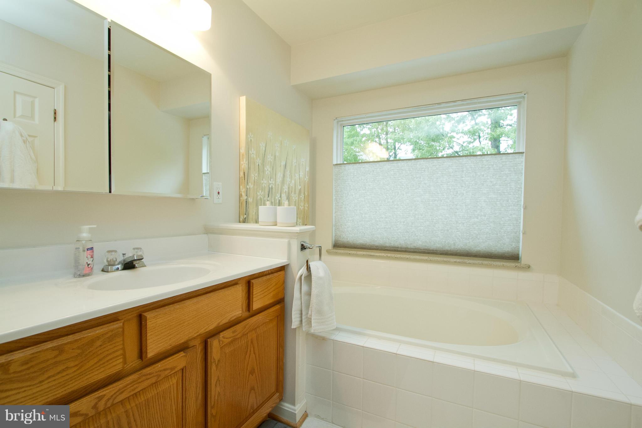 1700 Random Stone Court Reston, VA 20190 - Photo 29 of 30 Bath (Master)