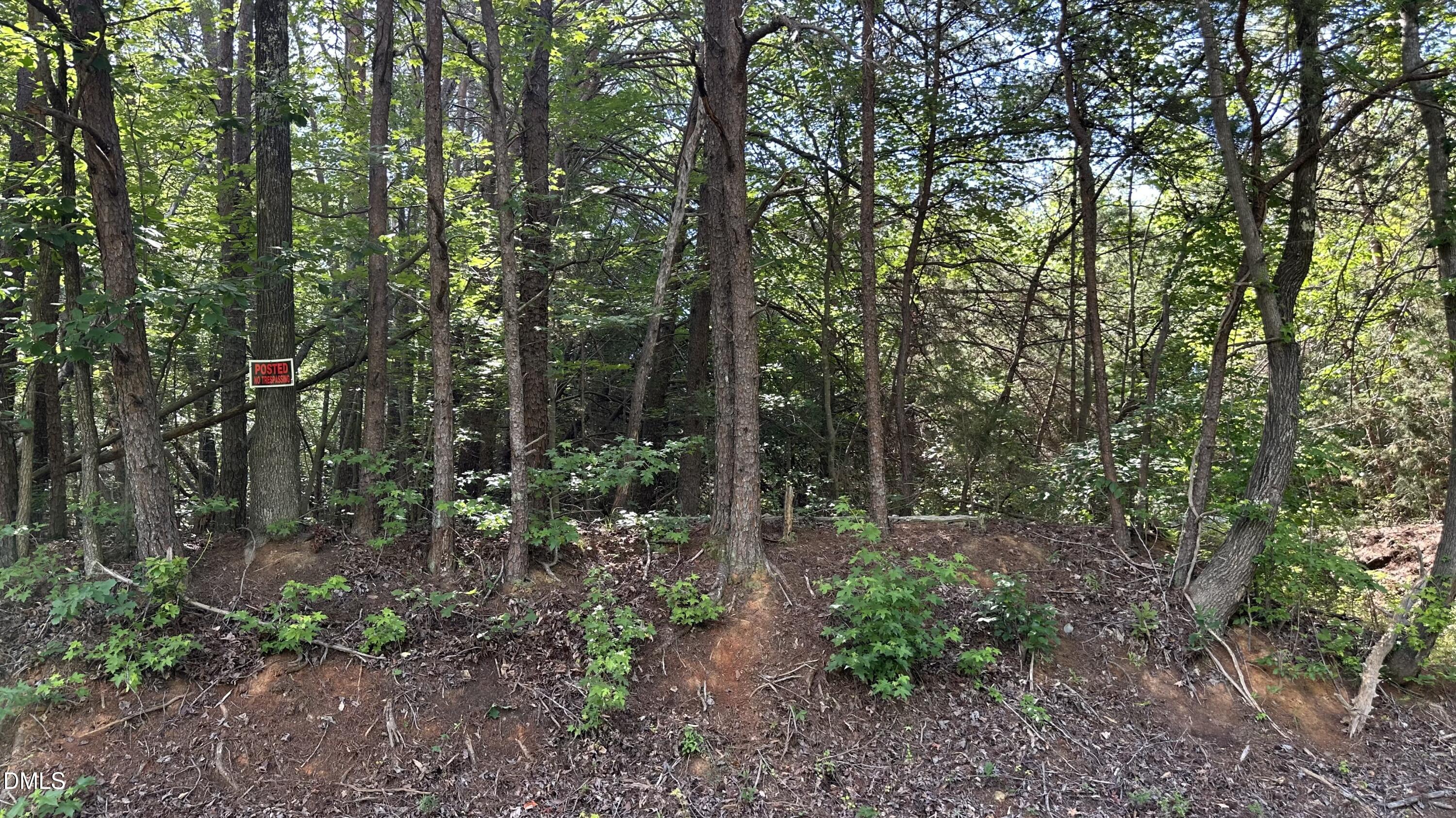 3016 Carver Road Rougemont, NC 27572 - Photo 3 of 9