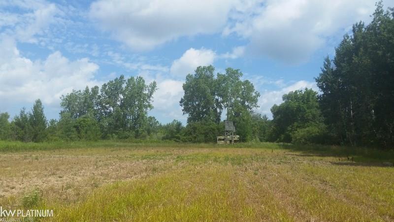 1460 North Ridge Road Carsonville, MI 48419 - Photo 28 of 49 31298281-27.JPG
