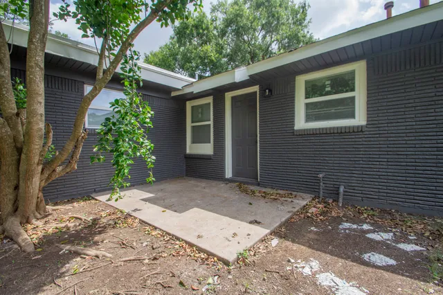 a view of a backyard with a tree