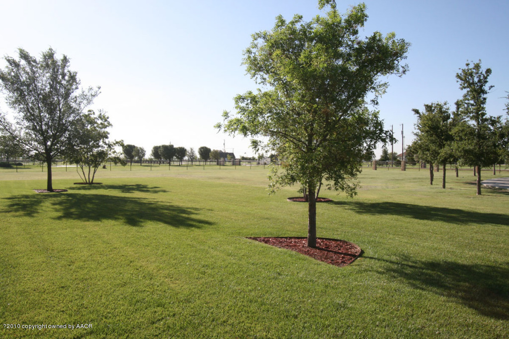 9000 Blackhawk Road Amarillo, TX 79119 - Photo 36 of 39 a view of a park with large trees