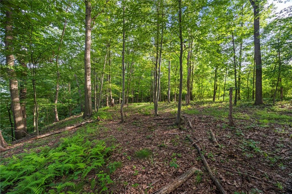 450 Ford City Road Freeport, PA 16229 - Photo 48 of 50