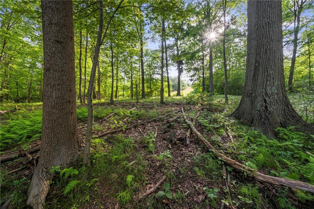 450 Ford City Road Freeport, PA 16229 - Photo 49 of 50