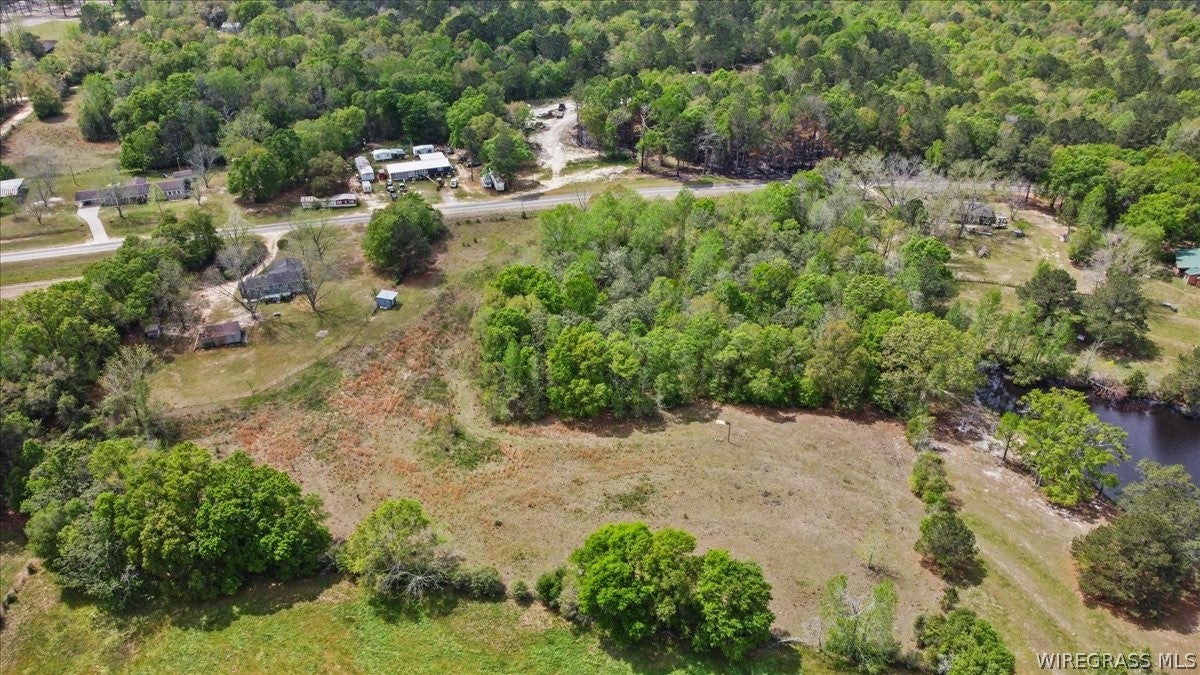 0 Old School Road, Unit LAND Opp, AL 36467 - Photo 4 of 9 Gallery Image 4