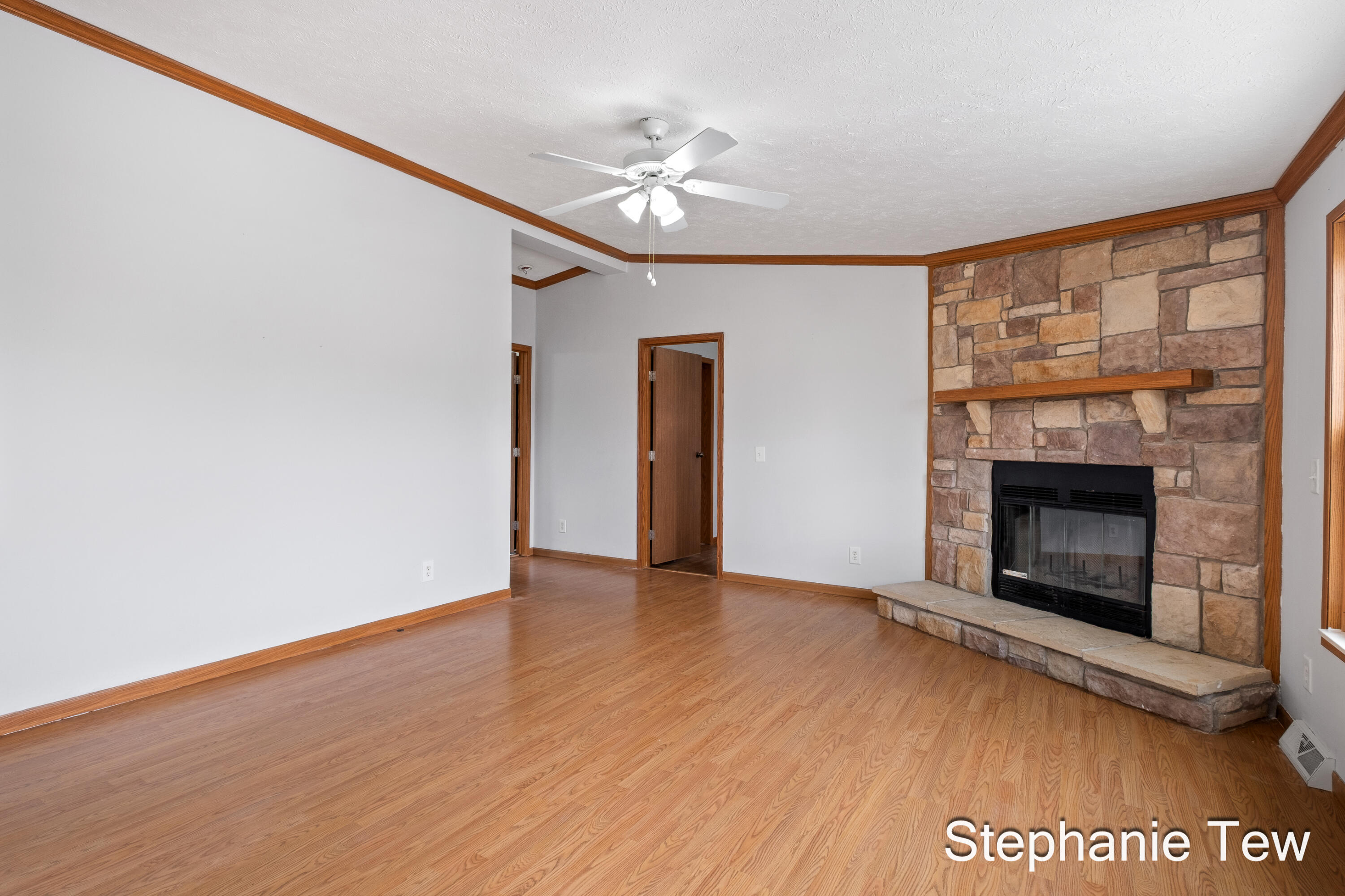 4155 North Neff Road Edmore, MI 48829 - Photo 17 of 40 Living Room
