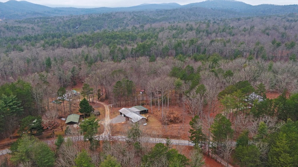 16 Bell Lane Morganton, GA 30560 - Photo 42 of 49