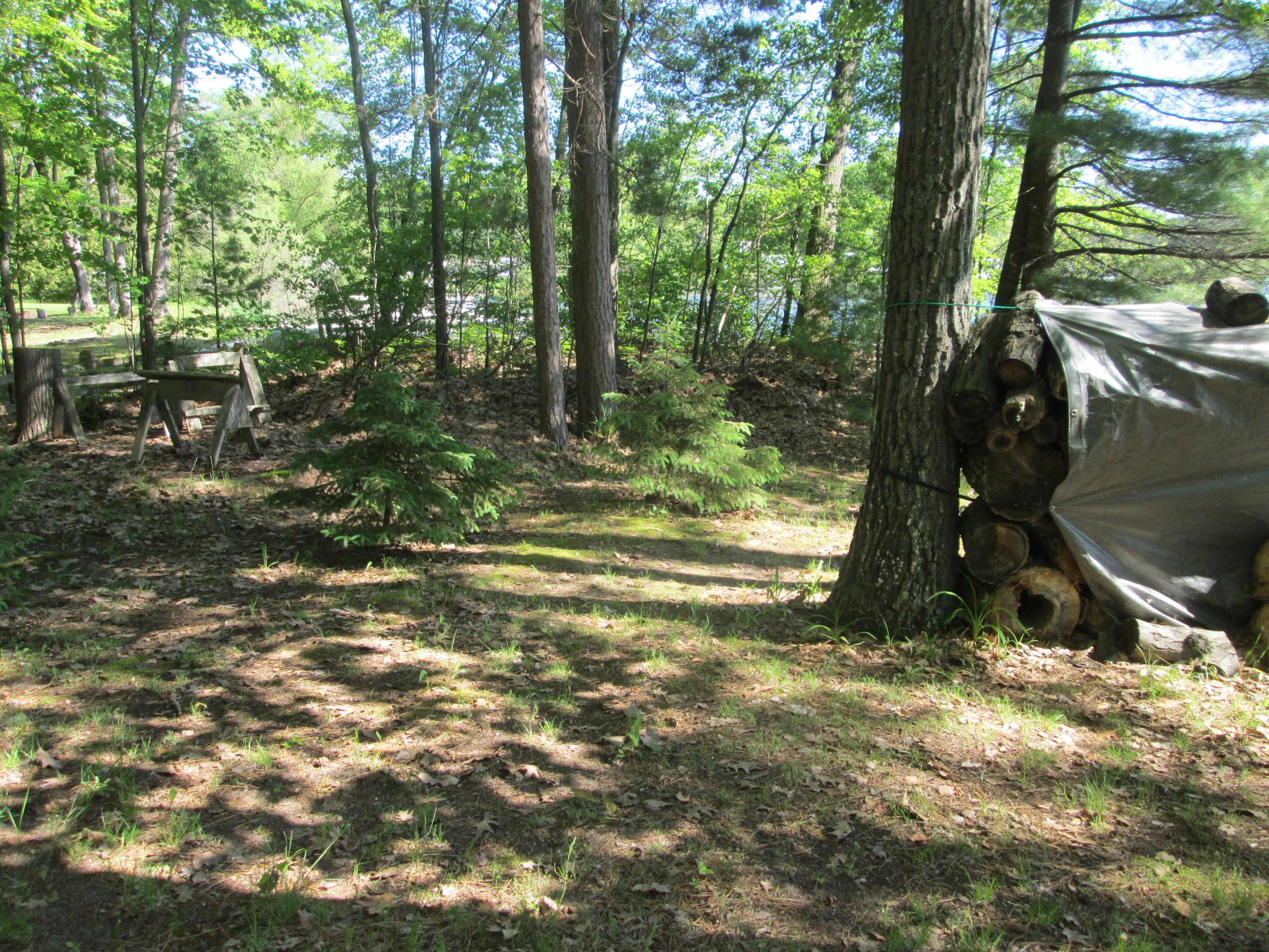 2261 Fleming Road Lewiston, MI 49756 - Photo 33 of 35 Gallery Image 33