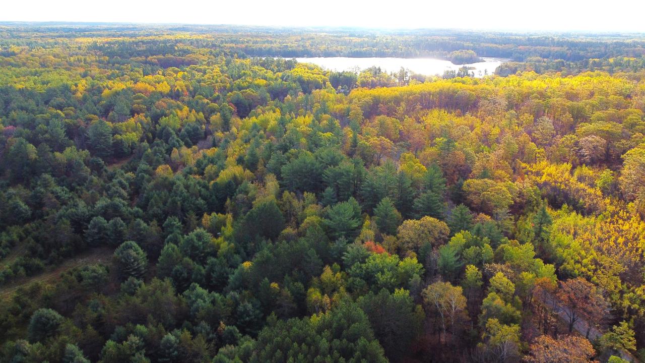 9228 Jenny Lake Road Tomahawk, WI 54487 - Photo 6 of 49 Gallery Image 6