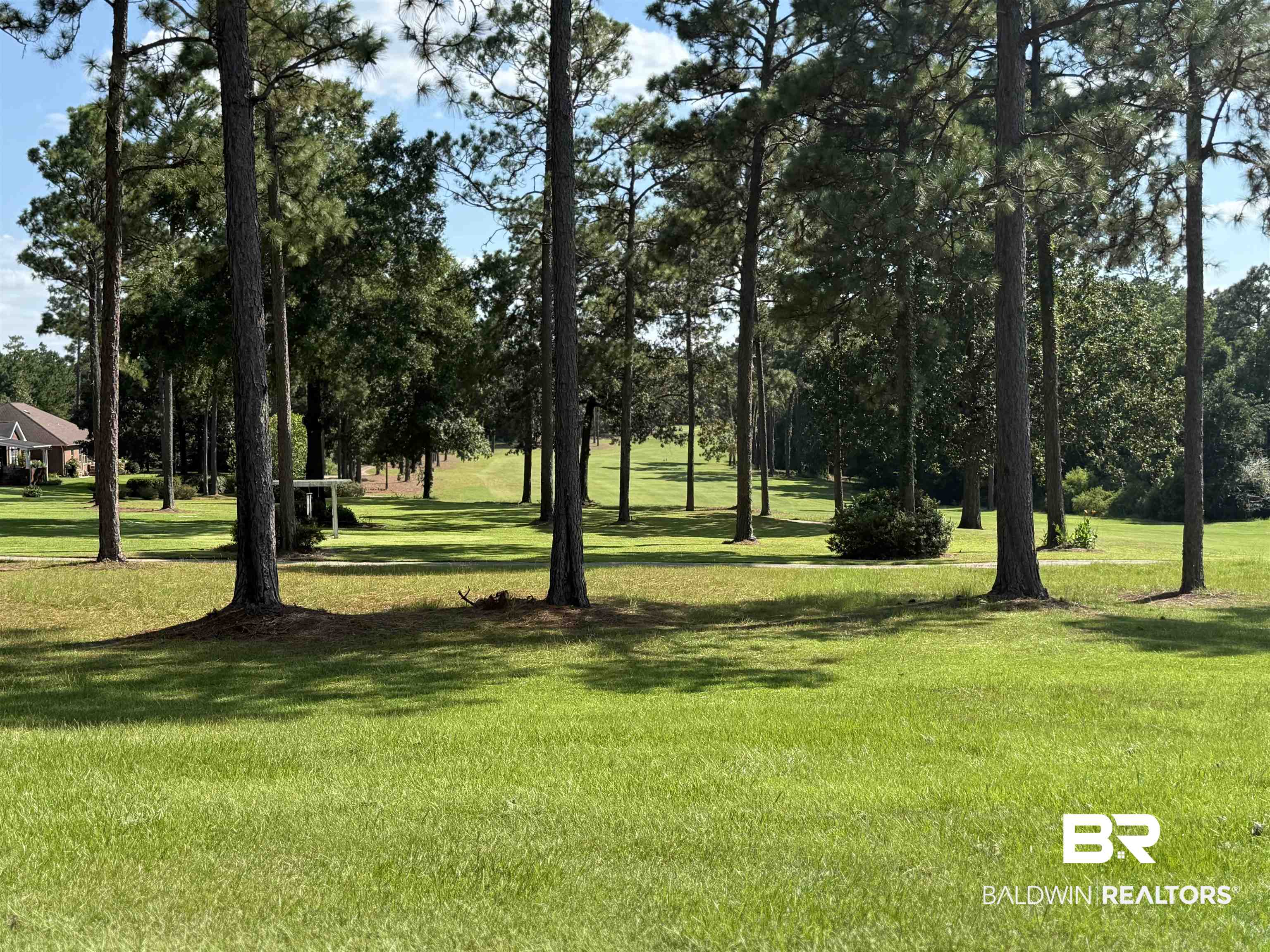 415 Juniper Creek Road Brewton, AL 36426 - Photo 35 of 35 Surrounding community featuring a yard and view of wooded area
