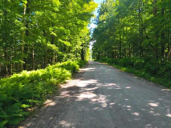 $45,000 | Lot1 Holcomb Road, Chester, MA 01011