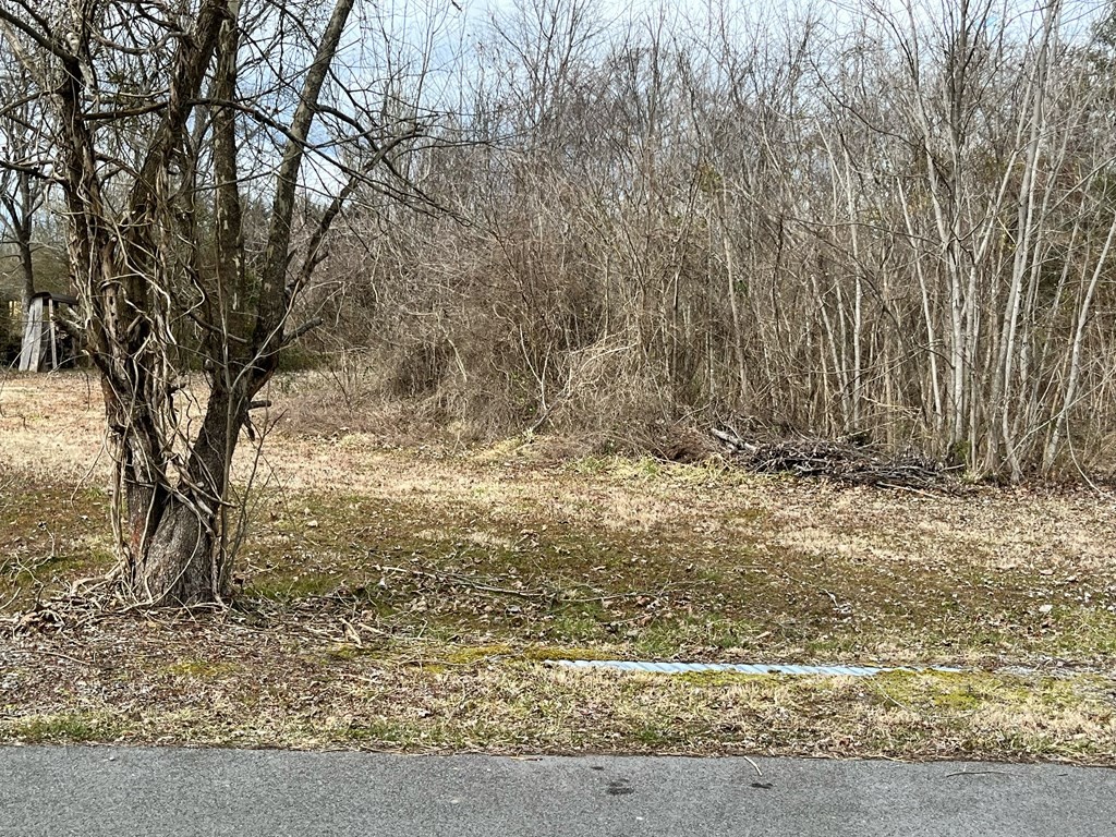0 Shinbone Road Sevierville, TN 37876 - Photo 6 of 10